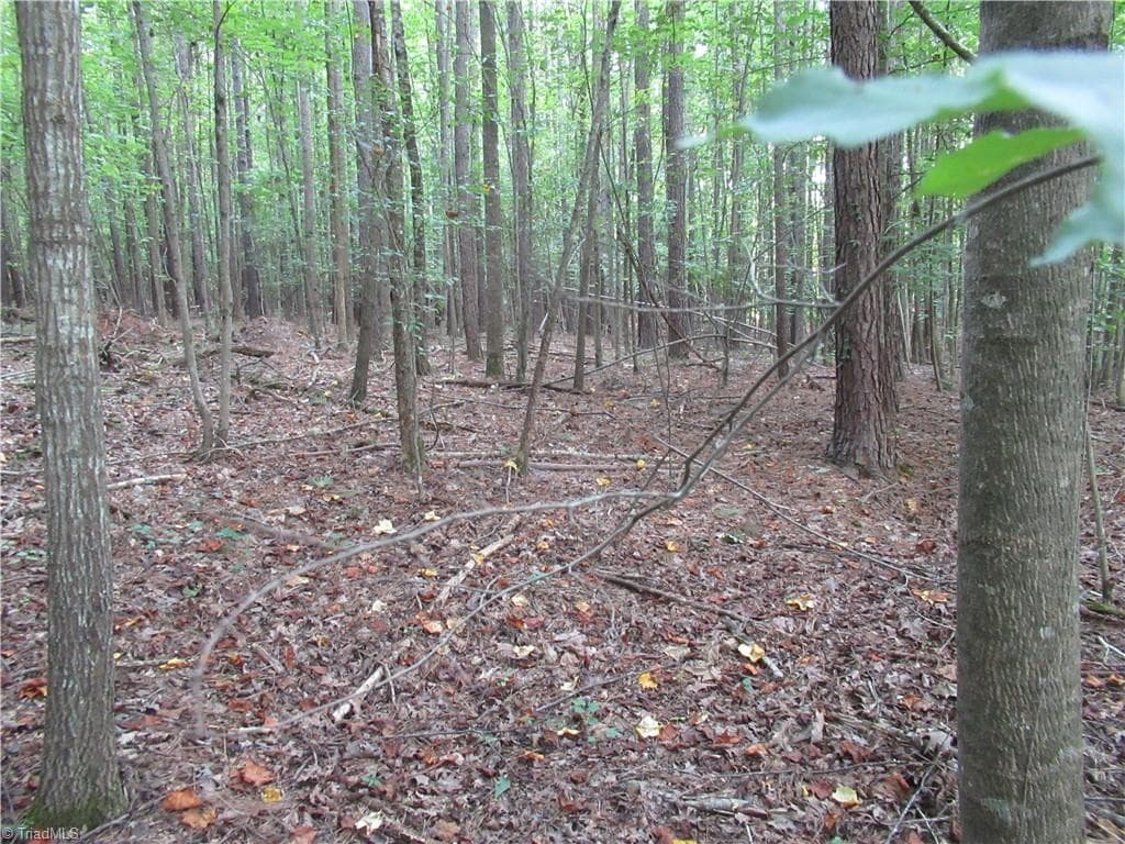 Unimproved Land at 2643 Roberts Chapel Road, Goldston NC 27252, photo 31 of 46