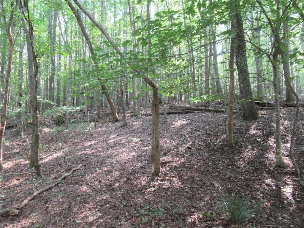 Unimproved Land at 2643 Roberts Chapel Road, Goldston NC 27252, photo 29 of 46