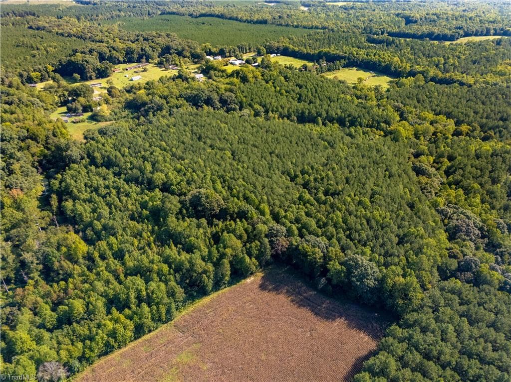 Unimproved Land at 2643 Roberts Chapel Road, Goldston NC 27252, photo 4 of 46