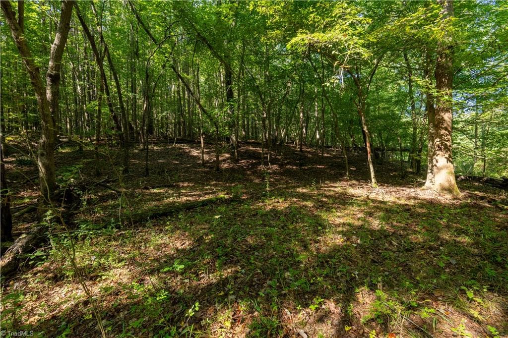 Unimproved Land at 2643 Roberts Chapel Road, Goldston NC 27252, photo 8 of 46