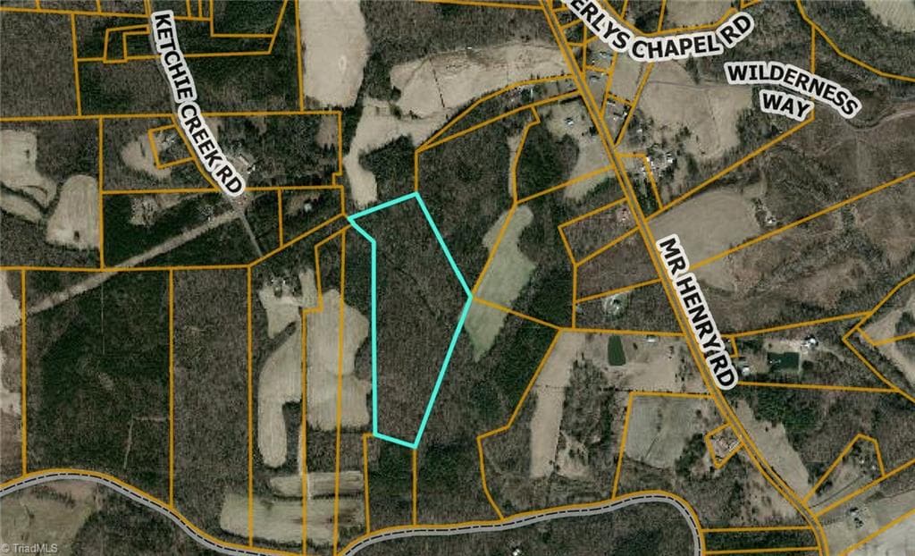 Unimproved Land at 0 Mr Henry Road, Mocksville NC 27208, Mocksville, photo 5 of 6