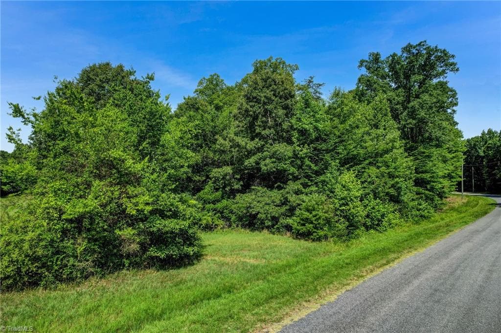 Single Family Residence at 00 Henry Road, Madison NC 27025, photo 11 of 17