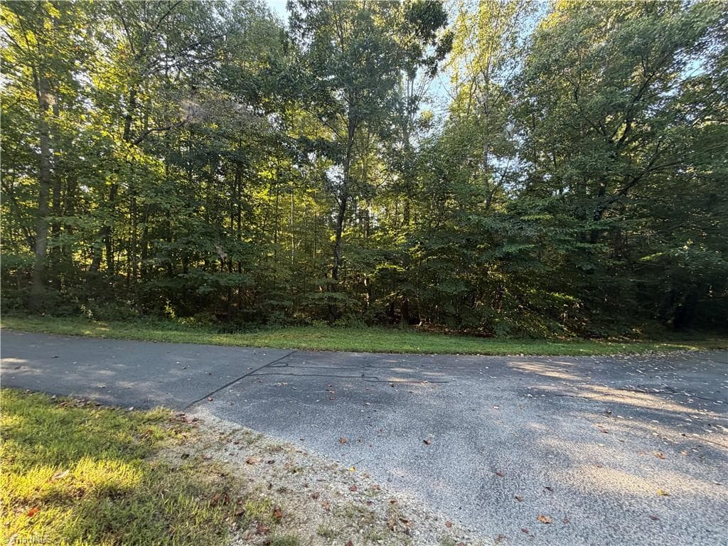 Single Family Residence at Lot 29 Cabin Cove Lane, Moravian Falls NC 28654, photo 2 of 22