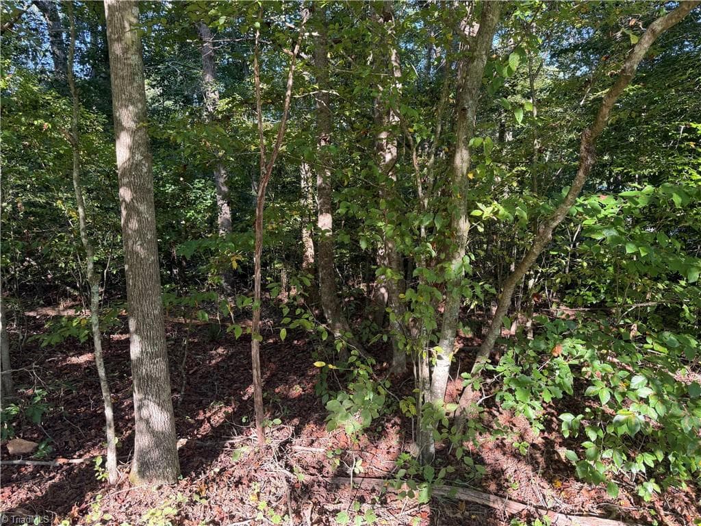 Single Family Residence at Lot 29 Cabin Cove Lane, Moravian Falls NC 28654, photo 6 of 22