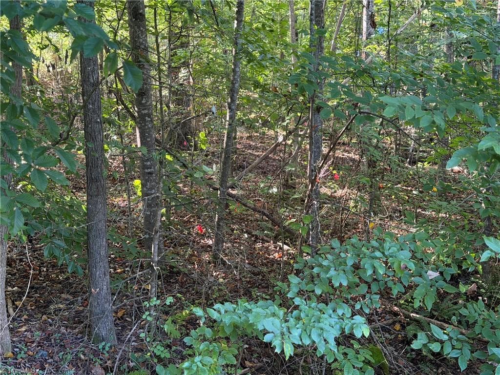 Single Family Residence at Lot 29 Cabin Cove Lane, Moravian Falls NC 28654, photo 13 of 22