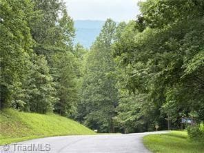 Single Family Residence at Lot 29 Cabin Cove Lane, Moravian Falls NC 28654, photo 16 of 22