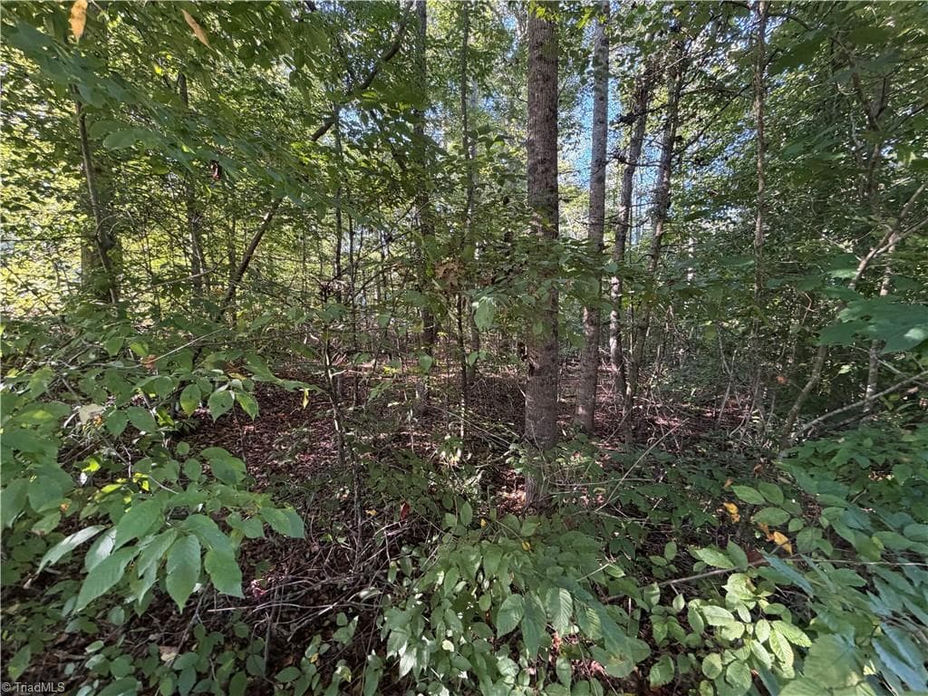 Single Family Residence at Lot 29 Cabin Cove Lane, Moravian Falls NC 28654, photo 12 of 22