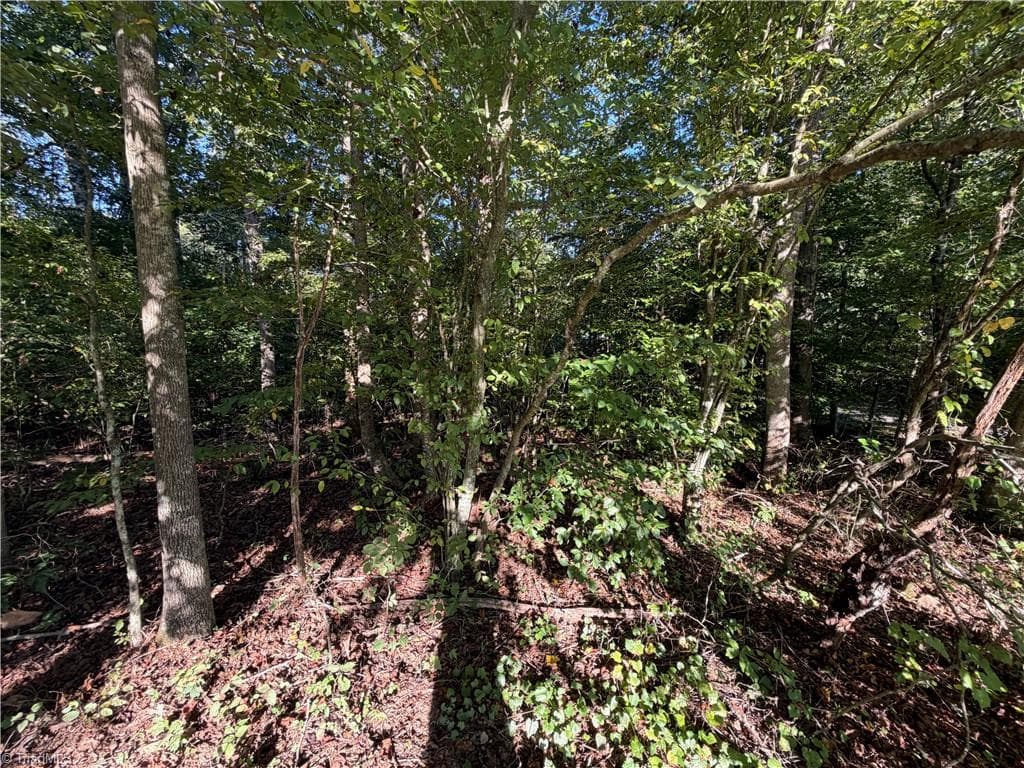 Single Family Residence at Lot 29 Cabin Cove Lane, Moravian Falls NC 28654, photo 7 of 22