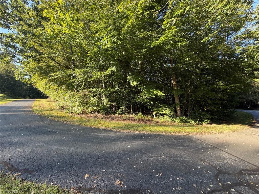 Single Family Residence at Lot 29 Cabin Cove Lane, Moravian Falls NC 28654, photo 3 of 22