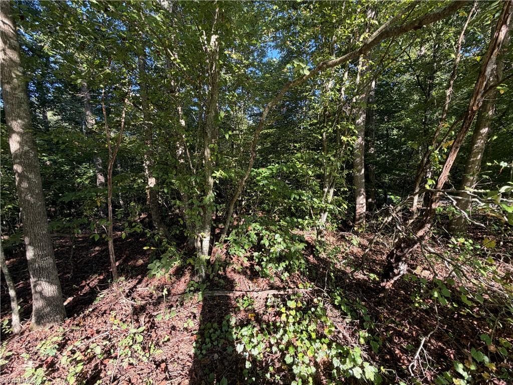 Single Family Residence at Lot 29 Cabin Cove Lane, Moravian Falls NC 28654, photo 5 of 22