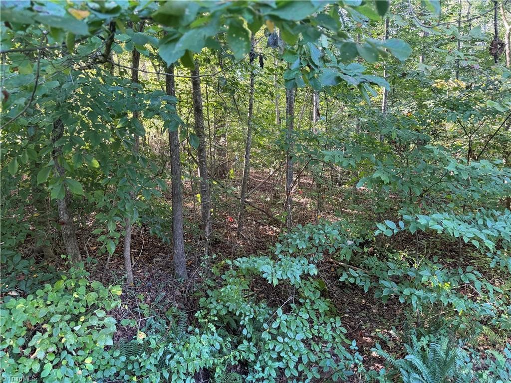 Single Family Residence at Lot 29 Cabin Cove Lane, Moravian Falls NC 28654, photo 14 of 22