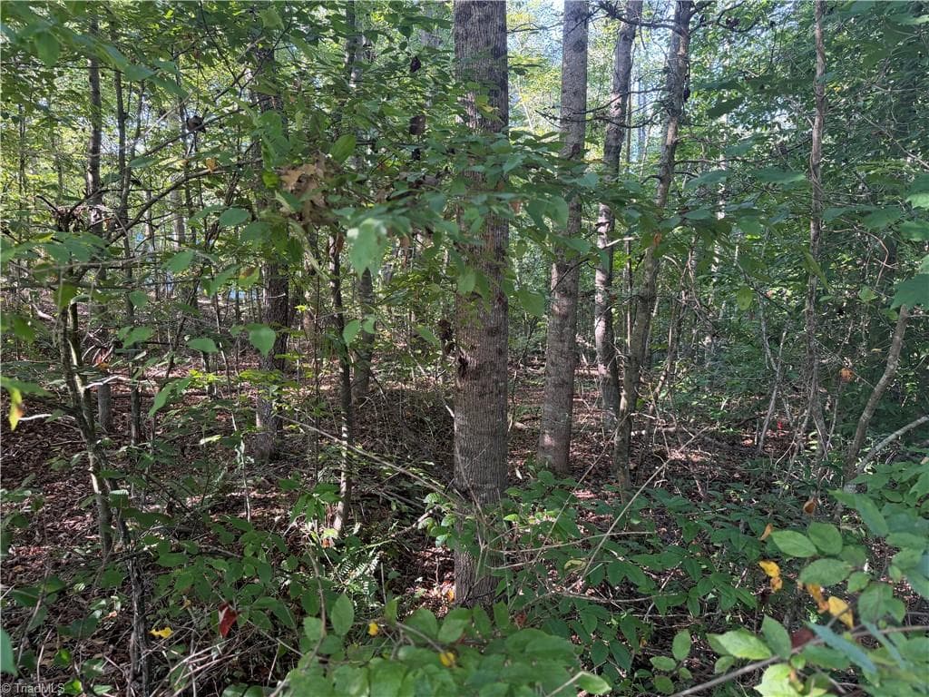 Single Family Residence at Lot 29 Cabin Cove Lane, Moravian Falls NC 28654, photo 11 of 22