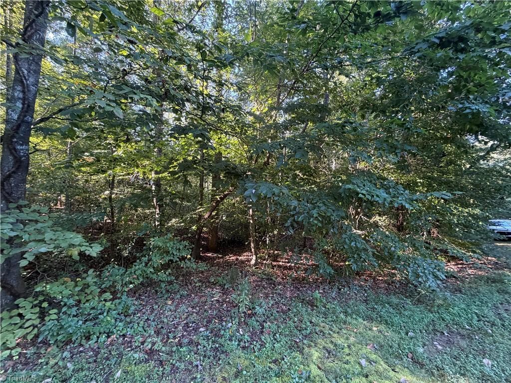 Single Family Residence at Lot 29 Cabin Cove Lane, Moravian Falls NC 28654, photo 4 of 22