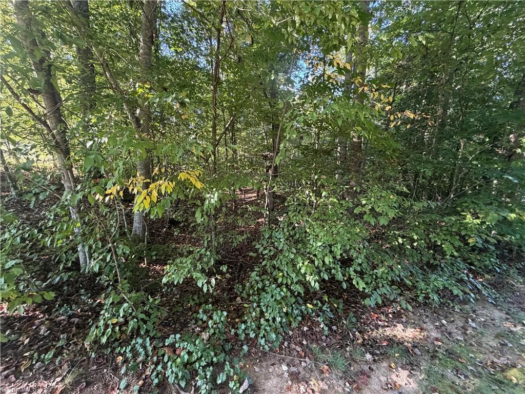 Single Family Residence at Lot 29 Cabin Cove Lane, Moravian Falls NC 28654, photo 8 of 22