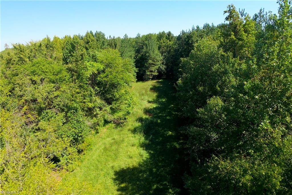 Unimproved Land at 3053 NC Highway 62 E, Liberty NC 27298, photo 23 of 32