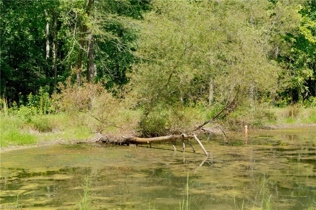 Unimproved Land at 3053 NC Highway 62 E, Liberty NC 27298, photo 16 of 32
