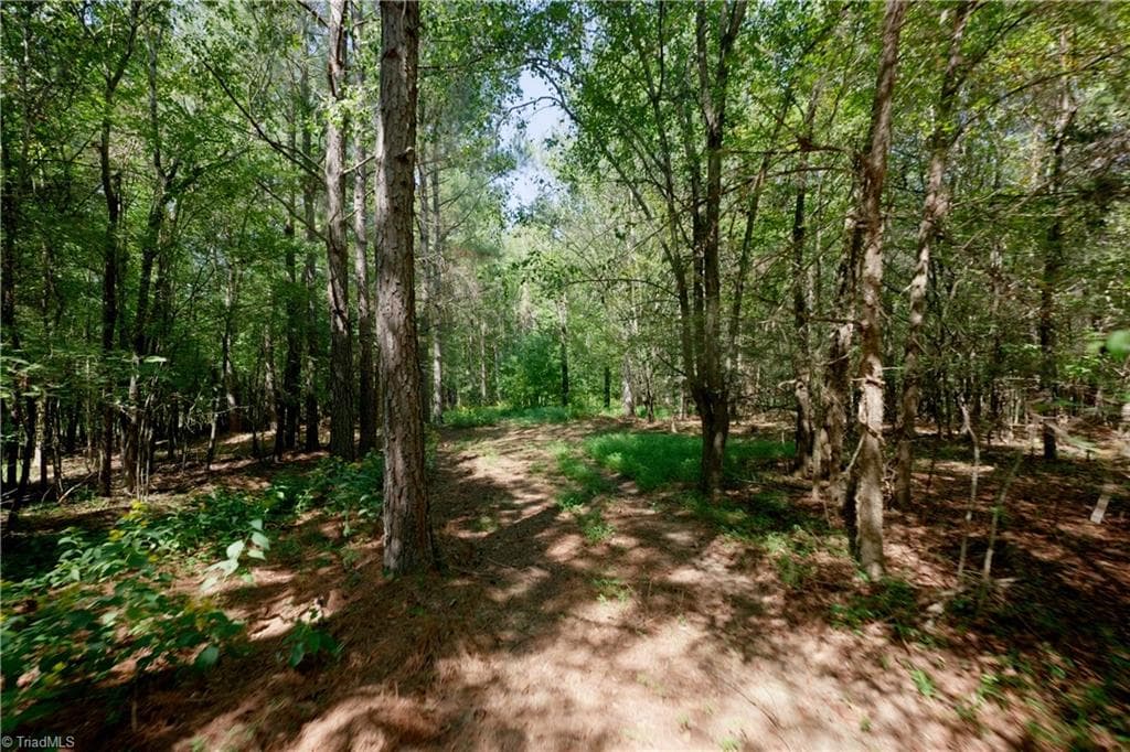 Unimproved Land at 3053 NC Highway 62 E, Liberty NC 27298, photo 26 of 32