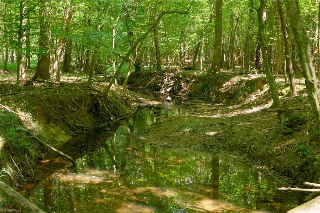 Unimproved Land at 3053 NC Highway 62 E, Liberty NC 27298, photo 22 of 32
