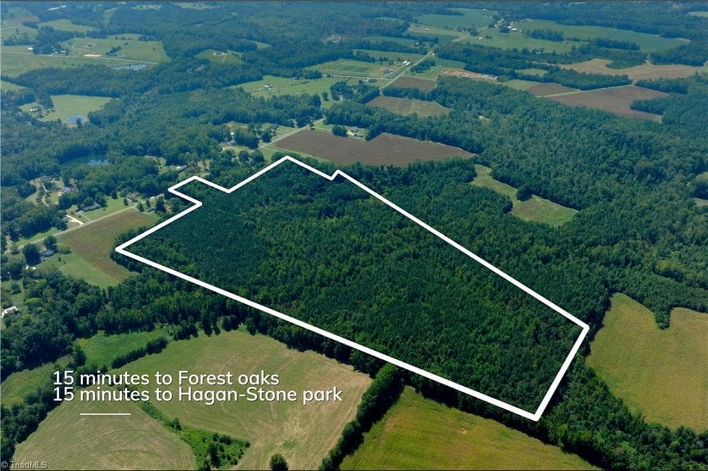 Unimproved Land at 3053 NC Highway 62 E, Liberty NC 27298, photo 3 of 32