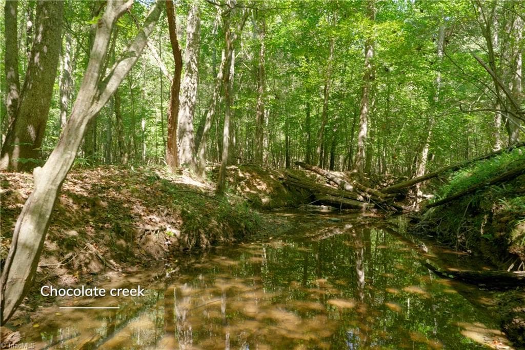Unimproved Land at 3053 NC Highway 62 E, Liberty NC 27298, photo 20 of 32