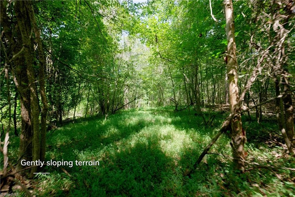 Unimproved Land at 3053 NC Highway 62 E, Liberty NC 27298, photo 10 of 32