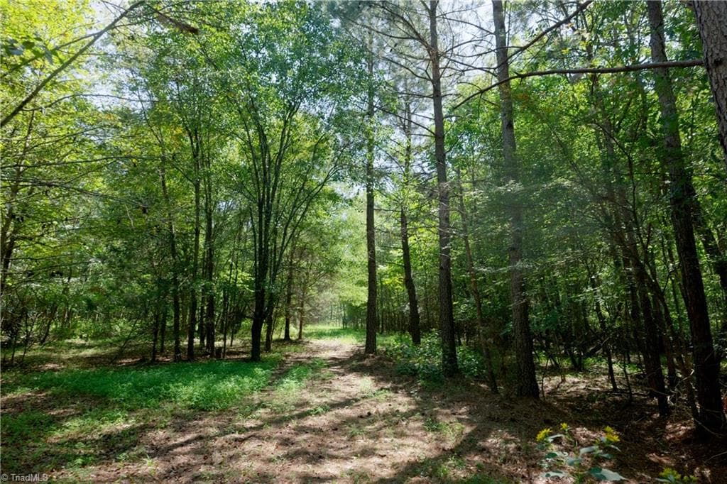 Unimproved Land at 3053 NC Highway 62 E, Liberty NC 27298, photo 15 of 32