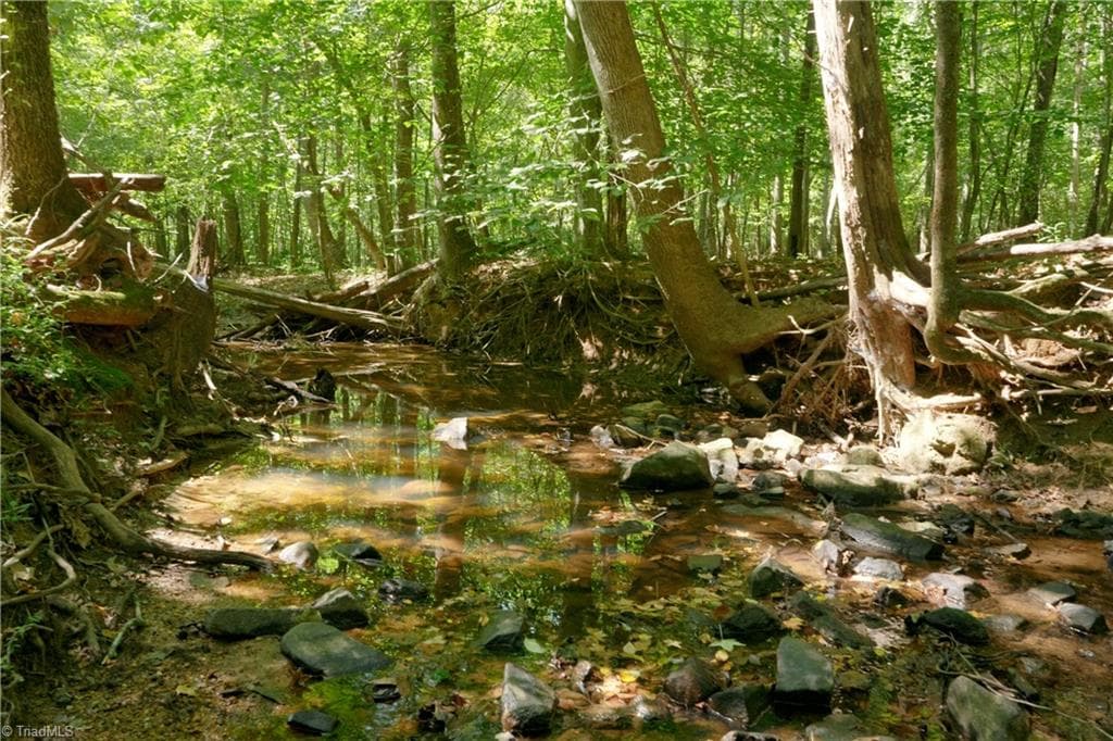 Unimproved Land at 3053 NC Highway 62 E, Liberty NC 27298, photo 21 of 32
