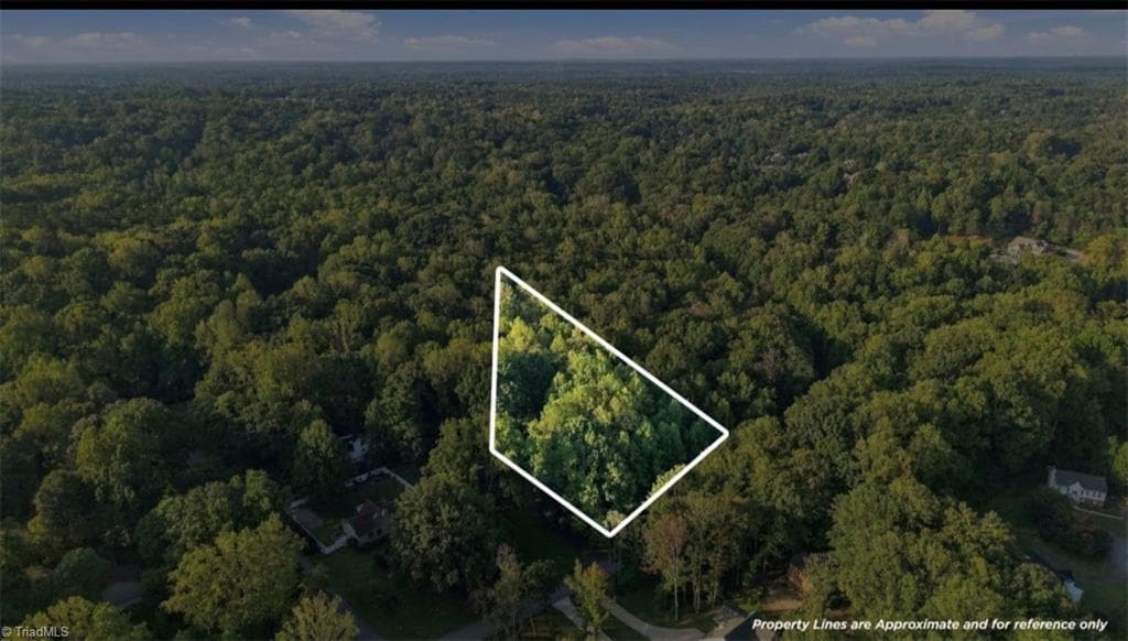 Single Family Residence at 8101 Deverow Court, Lewisville NC 27023, photo 2 of 21