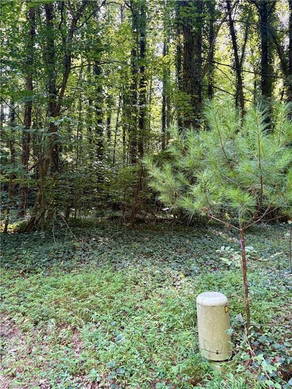 Single Family Residence at 8101 Deverow Court, Lewisville NC 27023, photo 16 of 21
