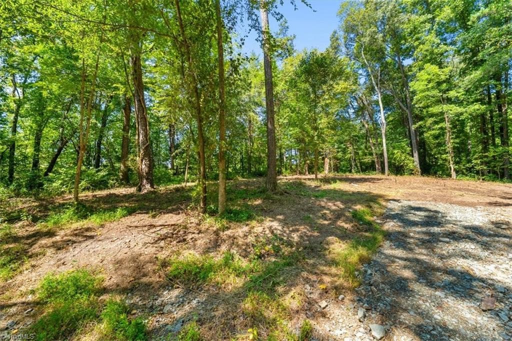 Single Family Residence at 5833 Thacker Dairy Road, Whitsett NC 27377, photo 3 of 14