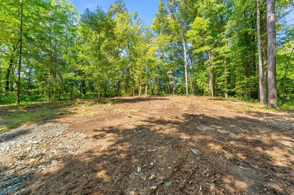Single Family Residence at 5833 Thacker Dairy Road, Whitsett NC 27377, photo 4 of 14
