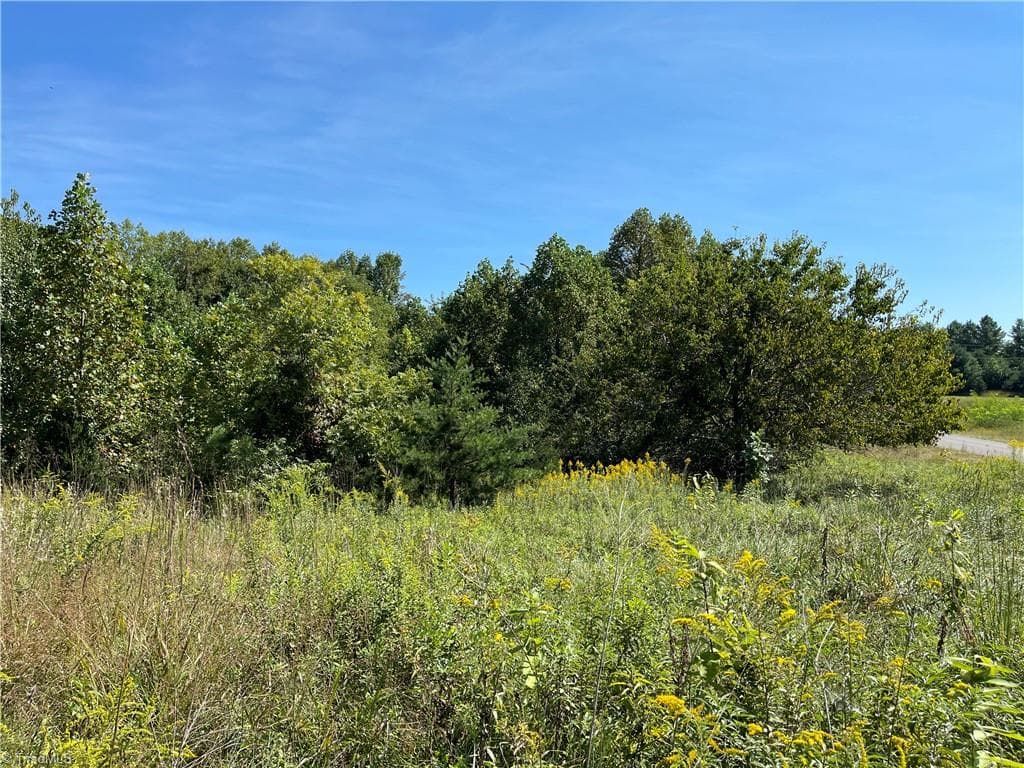 Stick/Site Built at 539 Athey Simmons Road, Mount Airy NC 27030, Mount Airy, photo 49 of 56