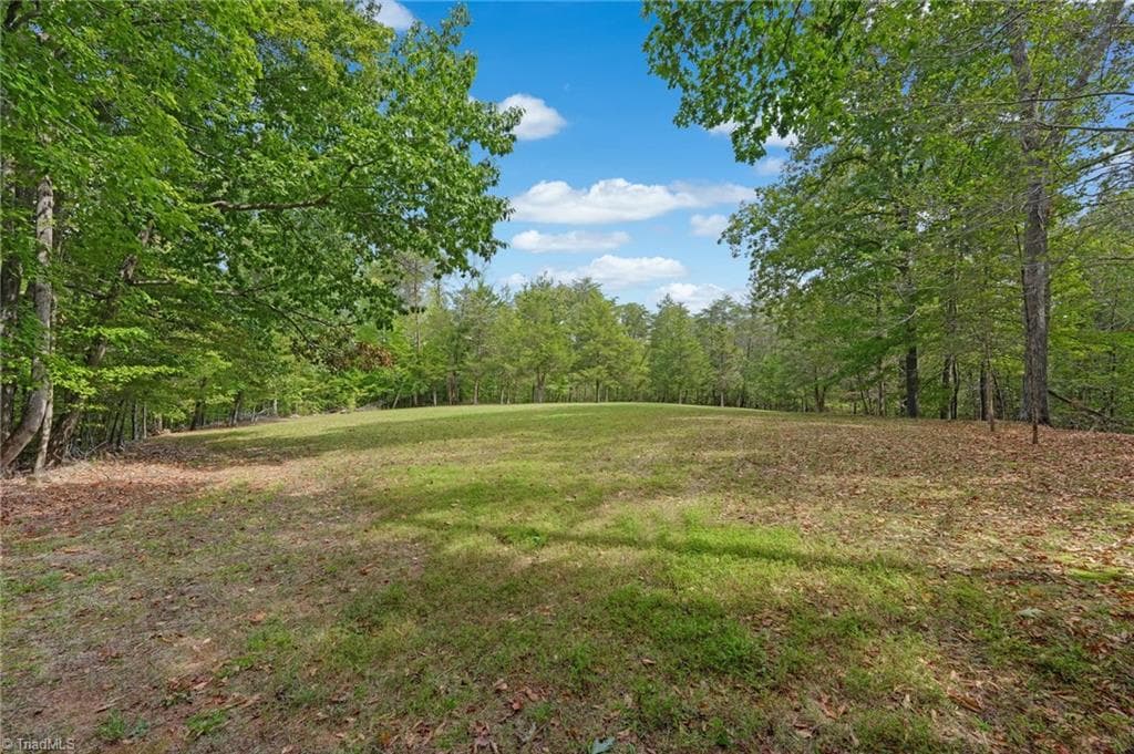 Stick/Site Built at 1203 Brooks Road, Reidsville NC 27320, Reidsville, photo 75 of 98