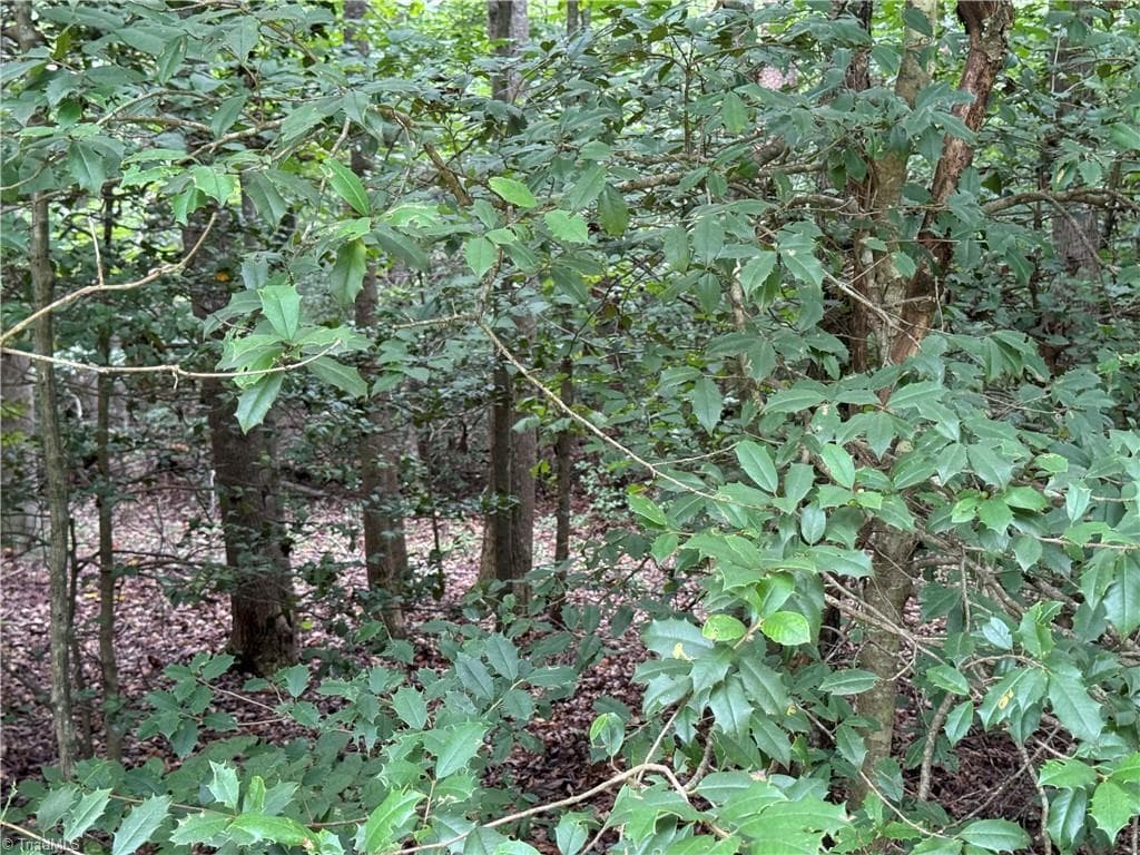 Single Family Residence at Lot 22 Zinzendorf Lane, Moravian Falls NC 28654, Moravian Falls, photo 3 of 26