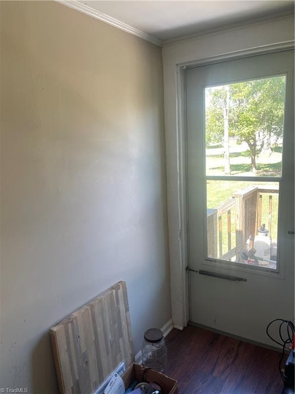 Storage/pantry leading to back door and deck - 1443 Delaware Avenue, Eden NC 27288, Eden