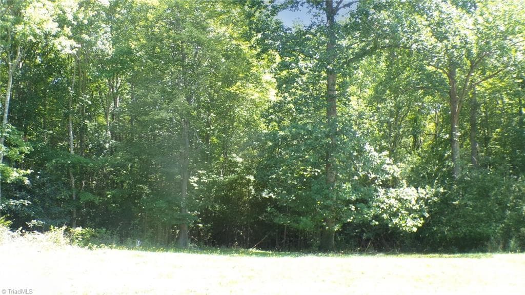 Single Family Residence at 2581 Carl Allred Road, Franklinville NC 27248, photo 23 of 32