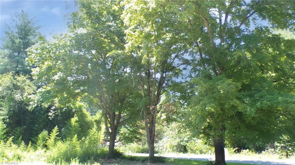 Single Family Residence at 2581 Carl Allred Road, Franklinville NC 27248, photo 27 of 32