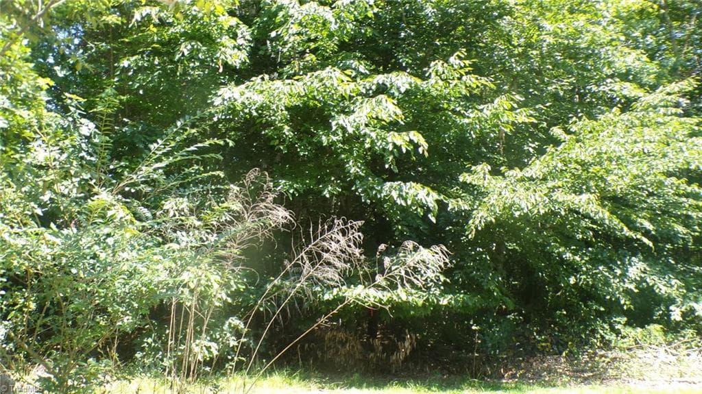 Single Family Residence at 2581 Carl Allred Road, Franklinville NC 27248, photo 2 of 32