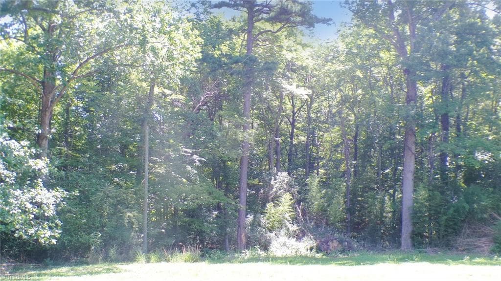 Single Family Residence at 2581 Carl Allred Road, Franklinville NC 27248, photo 6 of 32