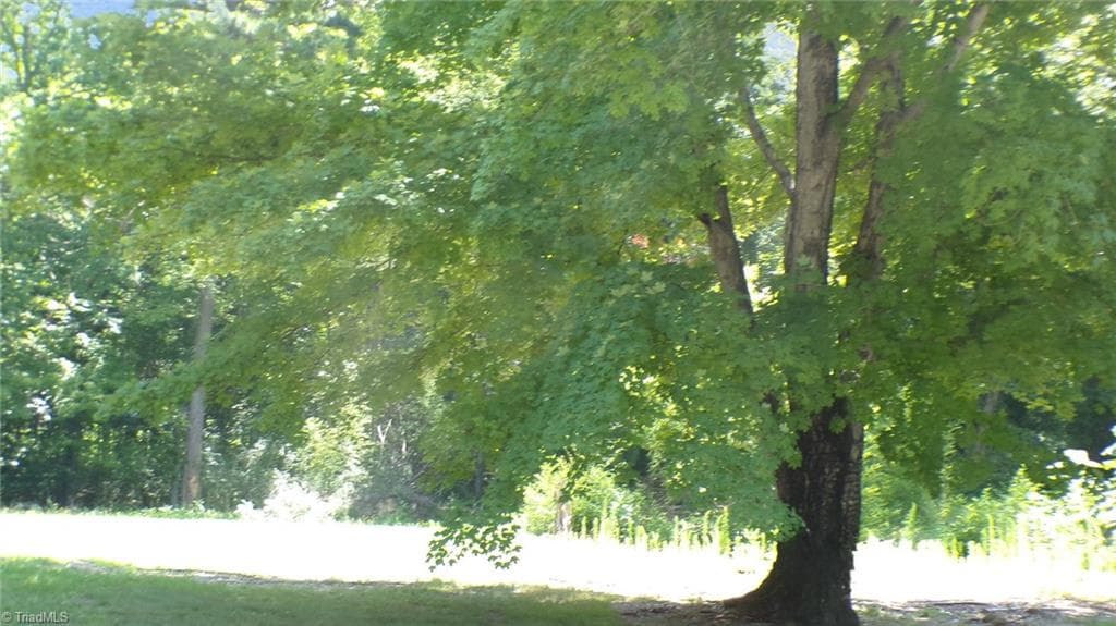 Single Family Residence at 2581 Carl Allred Road, Franklinville NC 27248, photo 16 of 32