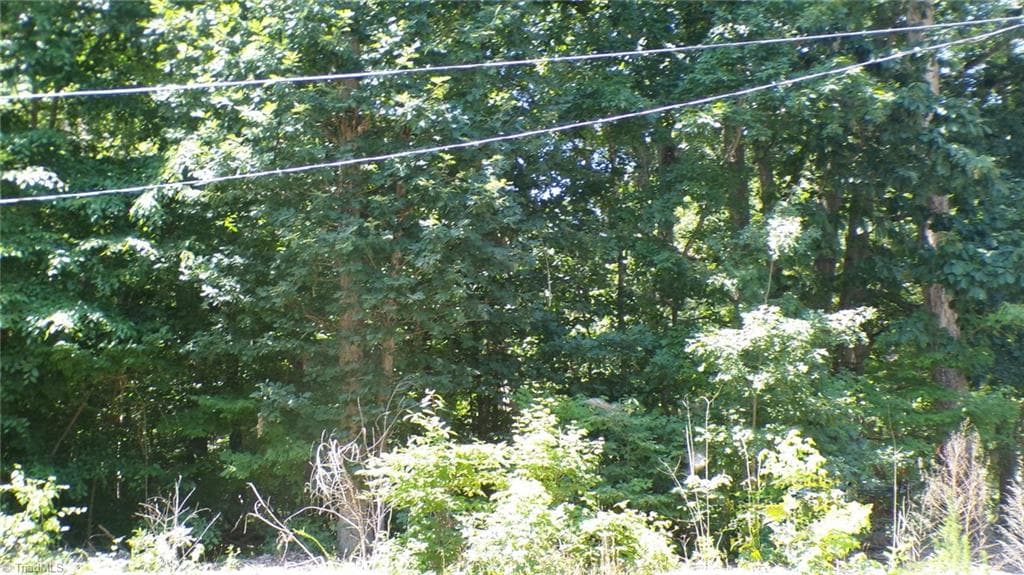 Single Family Residence at 2581 Carl Allred Road, Franklinville NC 27248, photo 12 of 32