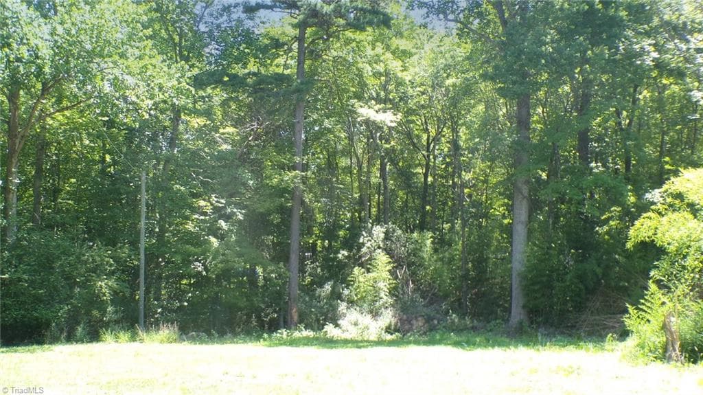 Single Family Residence at 2581 Carl Allred Road, Franklinville NC 27248, photo 26 of 32
