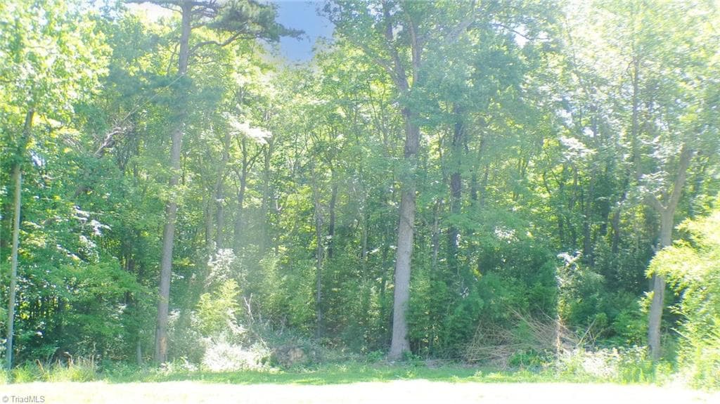 Single Family Residence at 2581 Carl Allred Road, Franklinville NC 27248, photo 7 of 32