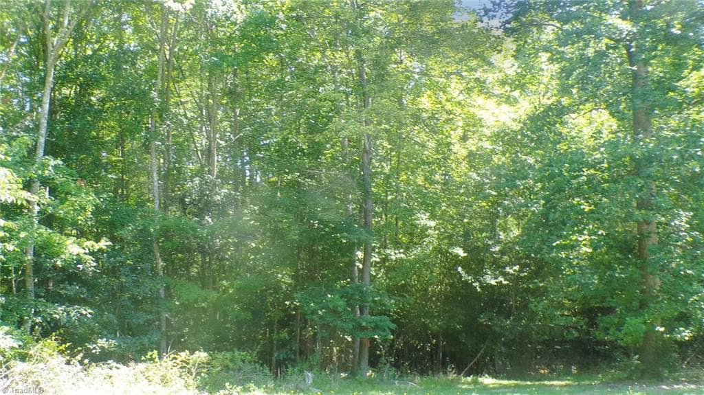 Single Family Residence at 2581 Carl Allred Road, Franklinville NC 27248, photo 3 of 32
