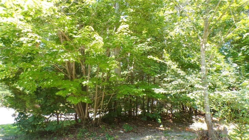 Single Family Residence at 2581 Carl Allred Road, Franklinville NC 27248, photo 32 of 32