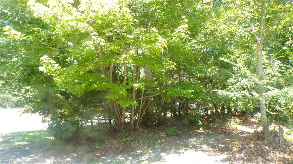 2581 Carl Allred Road, Franklinville NC 27248