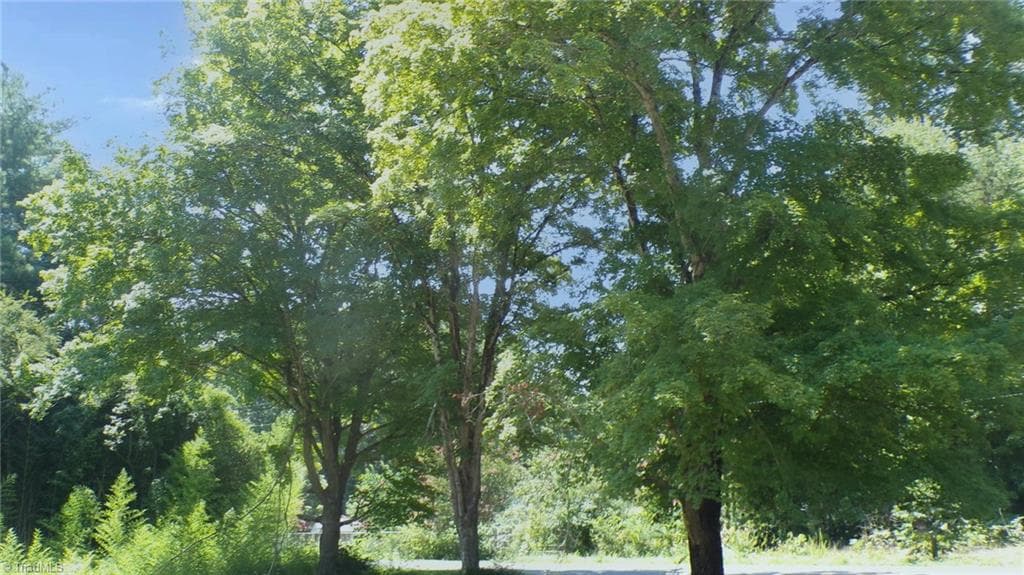 Single Family Residence at 2581 Carl Allred Road, Franklinville NC 27248, photo 28 of 32