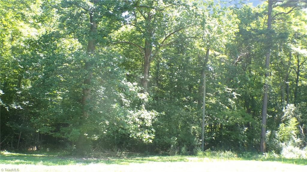 Single Family Residence at 2581 Carl Allred Road, Franklinville NC 27248, photo 5 of 32