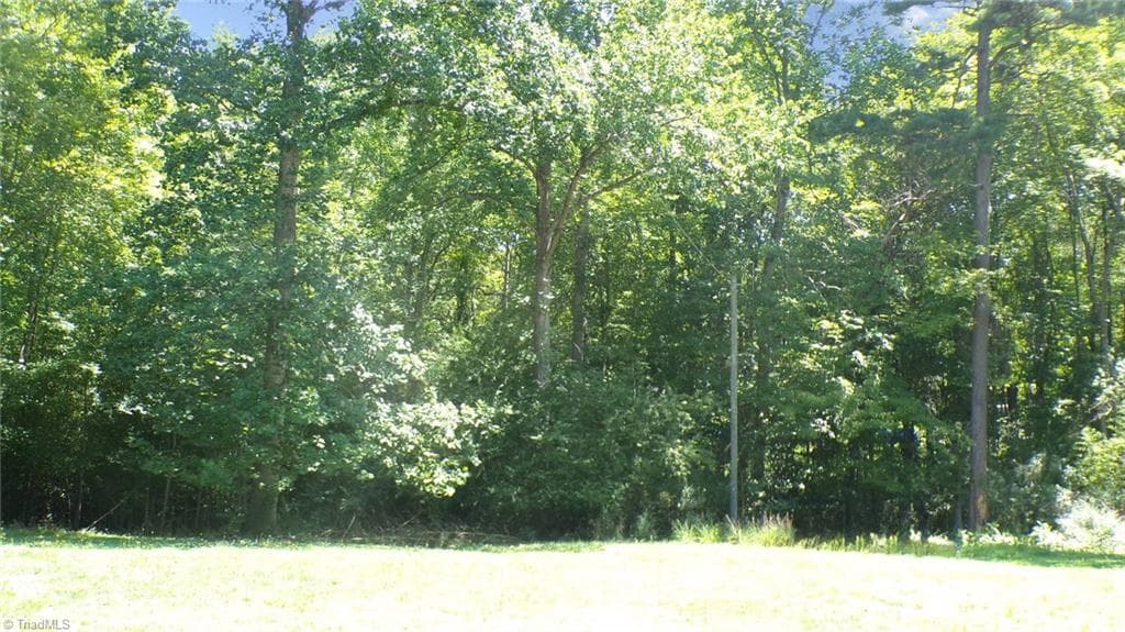 Single Family Residence at 2581 Carl Allred Road, Franklinville NC 27248, photo 24 of 32