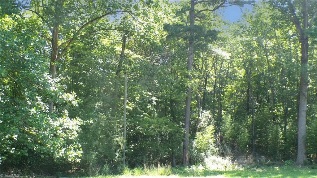 Single Family Residence at 2581 Carl Allred Road, Franklinville NC 27248, photo 30 of 32